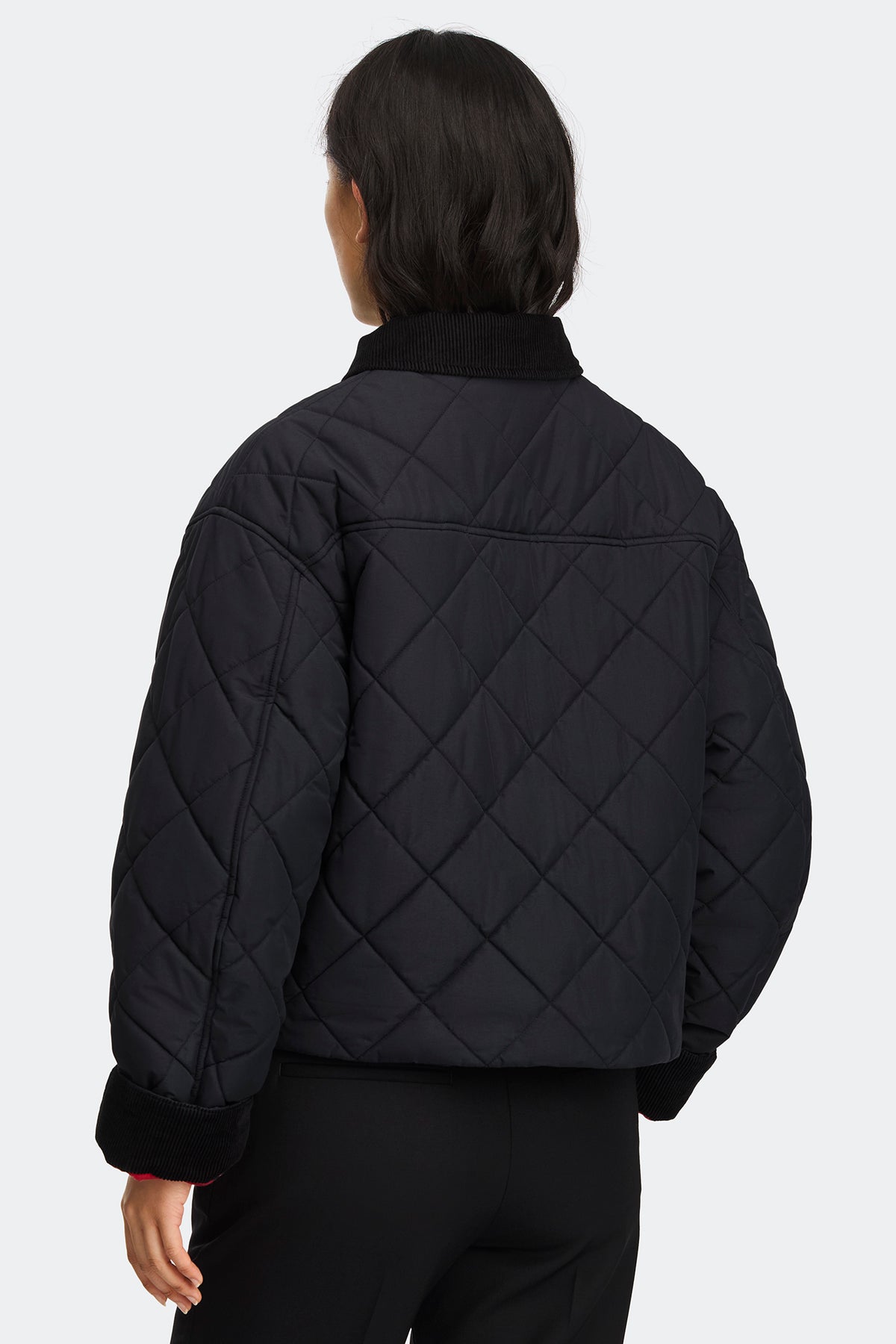 Terra Jacket - Black 9061 - on_back_01