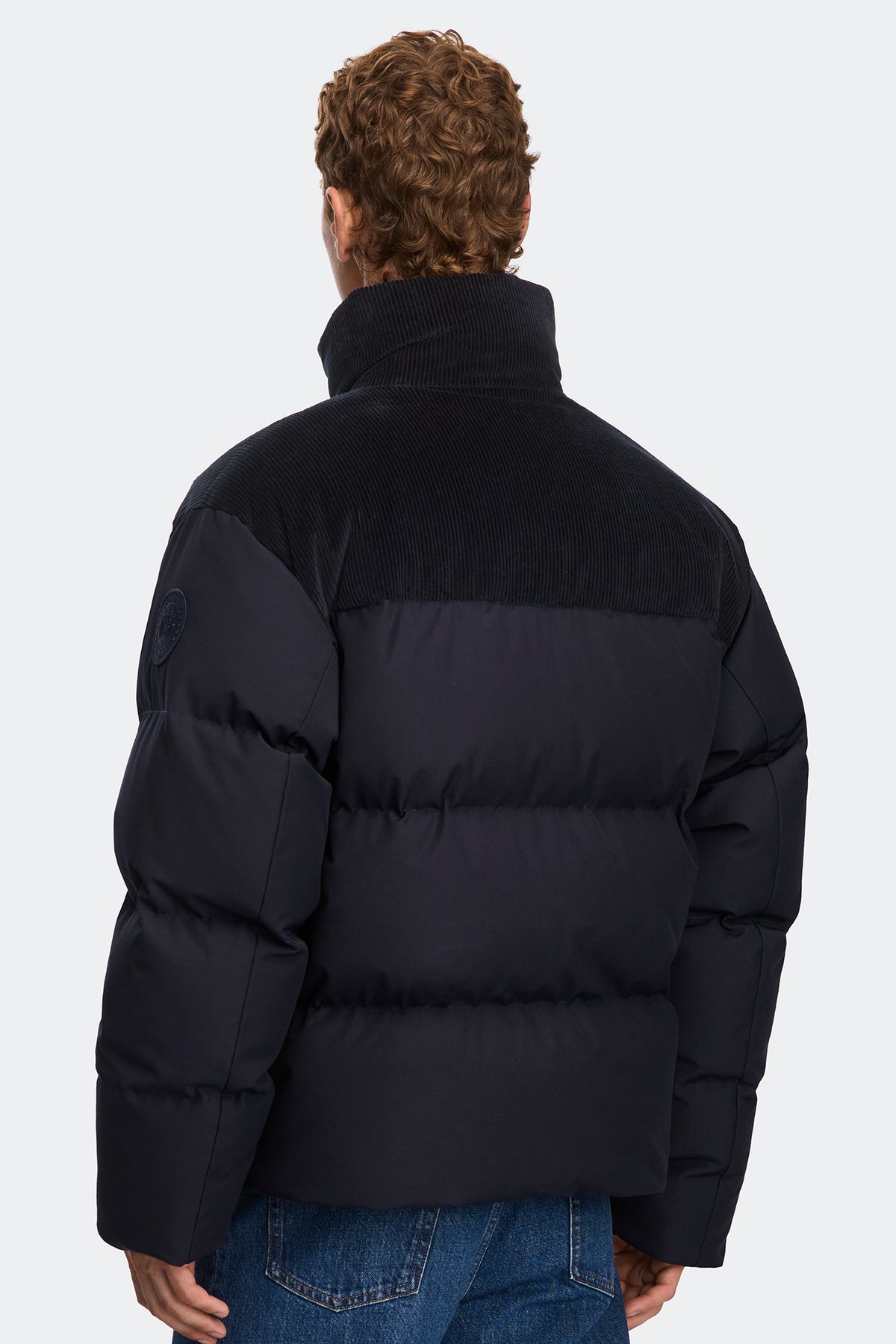 Sterling Corduroy Puffer Jacket - Nocturne 9858 - on_back_01