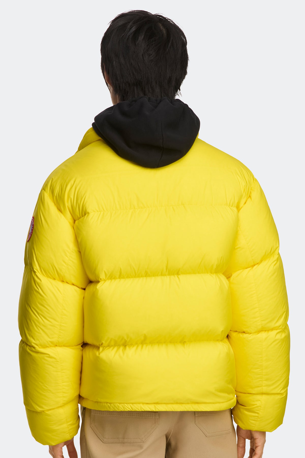 Sterling Puffer Jacket - Solar Aria 9604 - on_back_01