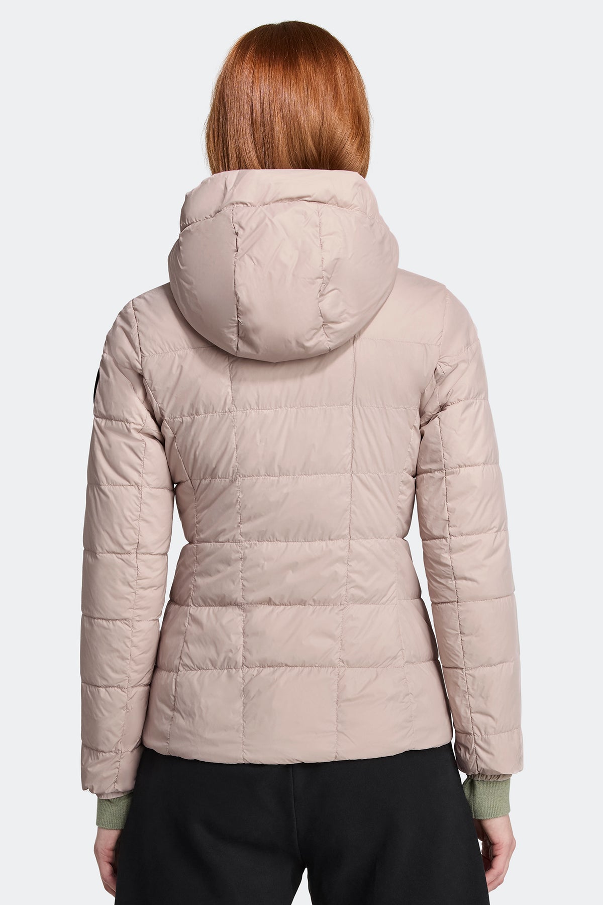Abbott Hoodie Black Disc - Lucent Rose 856 - on_back_02