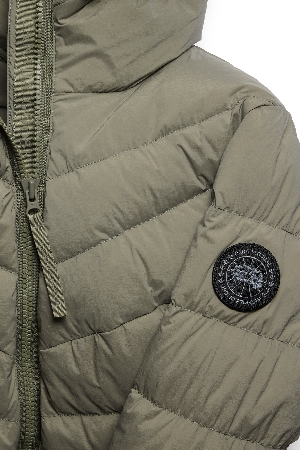 Clair Coat Black Disc - Smokey Sage 1664 - off_detail_01