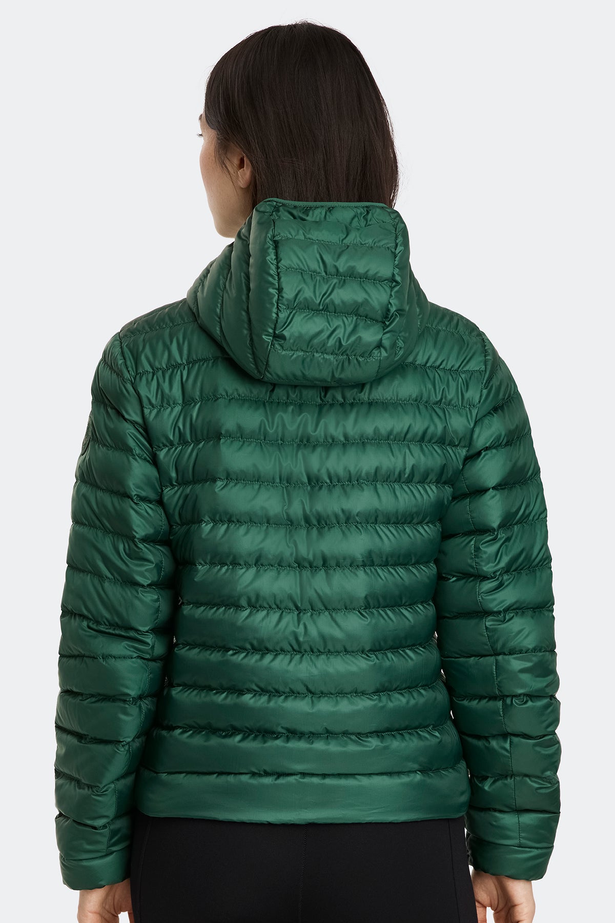 Aethera Hoodie Tonal Disc - Glade Green 9848 - on_back_01
