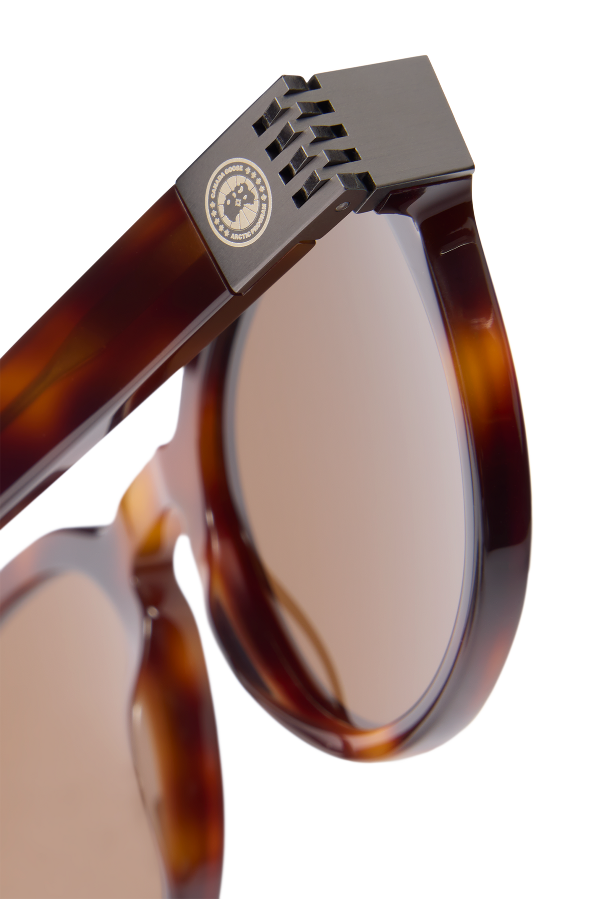 Como Sunglasses - Havana/Brown 9057 - off_back_01