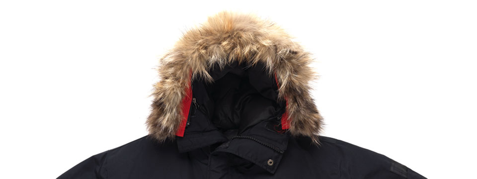 FUR RUFF image
